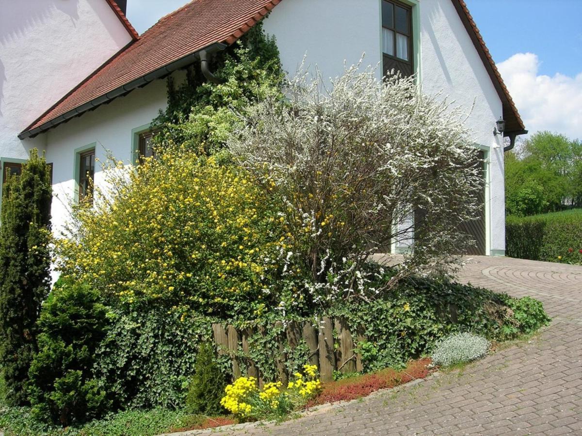 Pension Rosengaertchen Абсберґ Екстер'єр фото
